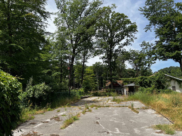 Deer Forest - July 2 2022 Photo (newer photo)